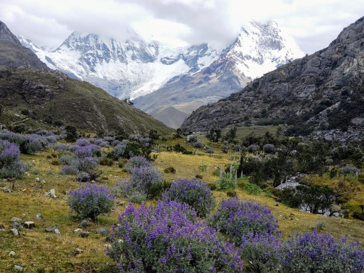 Lhotse Hostel B&B Huaraz (Ancash) Exterior foto